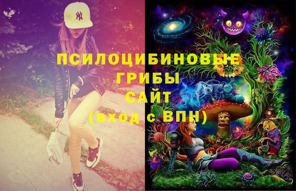 прущая мука Медвежьегорск