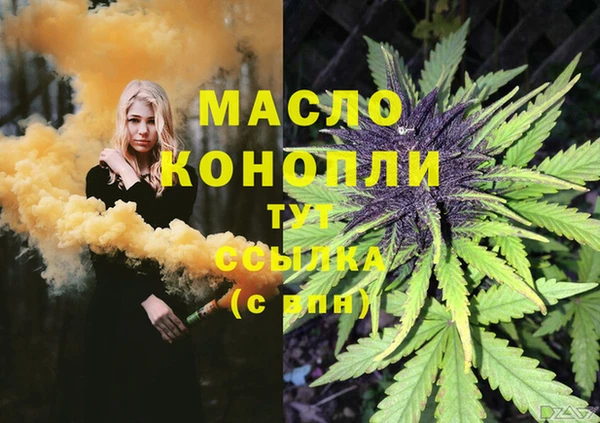 гашик Медногорск