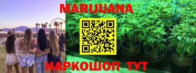 прущие крисы Донецк