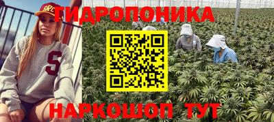 экстази Дубна