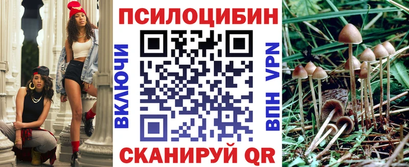 Галлюциногенные грибы Cubensis  mega ссылки  Электросталь 