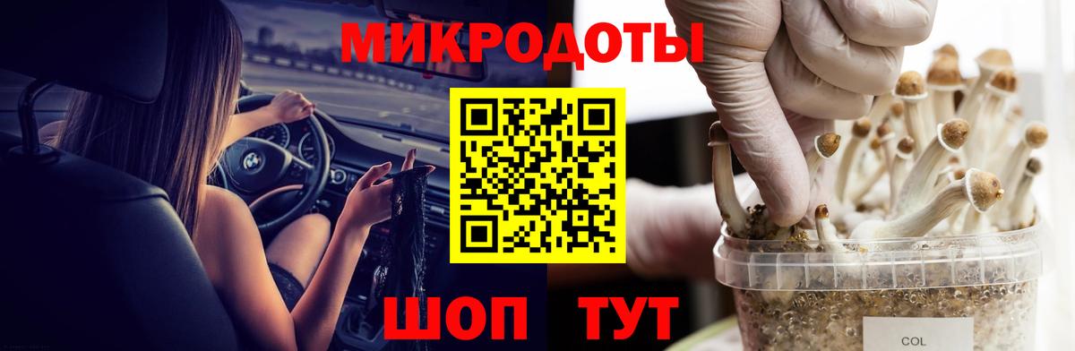 Псилоцибиновые грибы GOLDEN TEACHER  Вход с VPN  магазин продажи наркотиков  Электросталь 