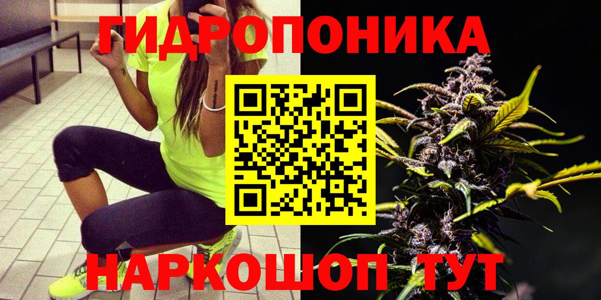 Марихуана сатива  Вход с VPN  Электросталь  Шишки марихуана семена 